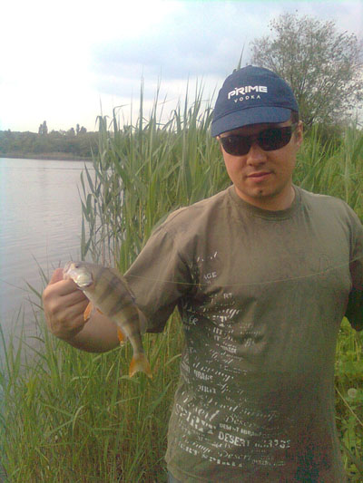 http://fishing-in.narod.ru/img/okun1.jpg